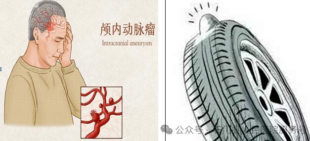 1726962700444724.jpg QQ截圖20240922082901.jpg