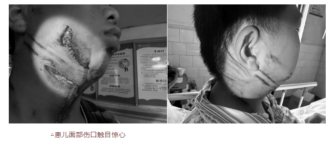 QQ20250210-090827.png